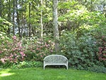 bench at woodland edge for long view
