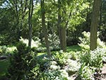 planting along woodland edges