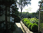 a narrow passage connects patio and terrace