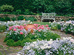 upper garden in spring