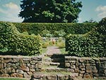 view into upper garden