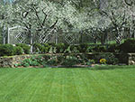 view to cherry orchard through fence panels