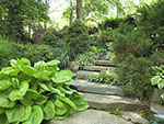 steps at bank