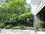 connecting steps from terrace to pool level