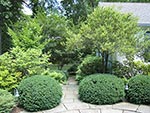 walk from front to lower level garages and parking