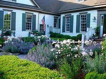 view from road into the garden and house entrance