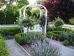 screen plantings on both sides towards neighbors