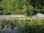 view across garden to road