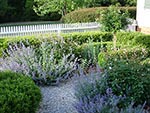 view from house front to street fence