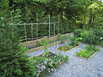 small herb garden