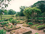 large vegetable garden with raised beds