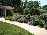 summer color along walkway 