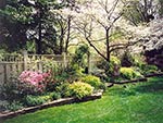 small border along a fence