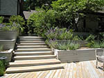 steps connecting pool level to upper living decks