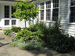 terrace border at kitchen door