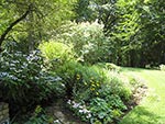 summer and fall flowering shrubs in main border