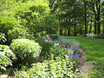 view of lawn border towards woodland