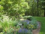 planting detail - summer border