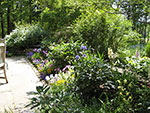 border at terrace dining end in front of wall to game lawn area 