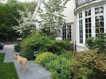 front walk