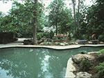 large free form pool with dark interior