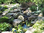 Small stream and pond for a rock garden
