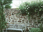 teak bench with rose on wall