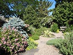 the gravel garden 10 years later
