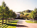 simple wood railing fence for country house