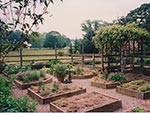 large vegetable garden, nursery beds and grape arbor