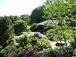 view of the current garden from the deck