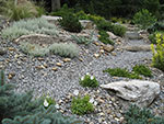 lower walk detail