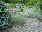 grasses in the rock garden