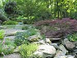 overview of rock garden at the top