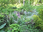 the rock garden edge