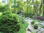 view across top of rock garden