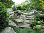the rock garden
