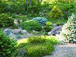 more views of the rock garden