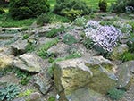 scree area