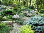 view across rock garden to woods edges