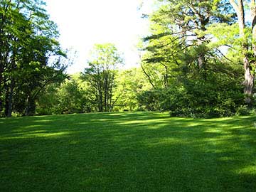 view to rock garden from house
