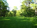 view to rock garden from house across lawn