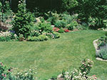 game lawn on the other side of the pool