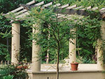 close up of pergola as seen from the rear