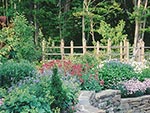 raised beds at game lawn house end