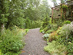 lane connecting to perennial garden 