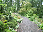 lane dividing upper and lower bank -access to house back and front