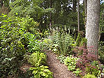 overview from top level to woodland edge