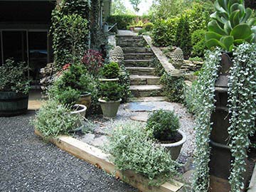 front steps driveway to kitchen door