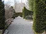 winter view of dividing hedges